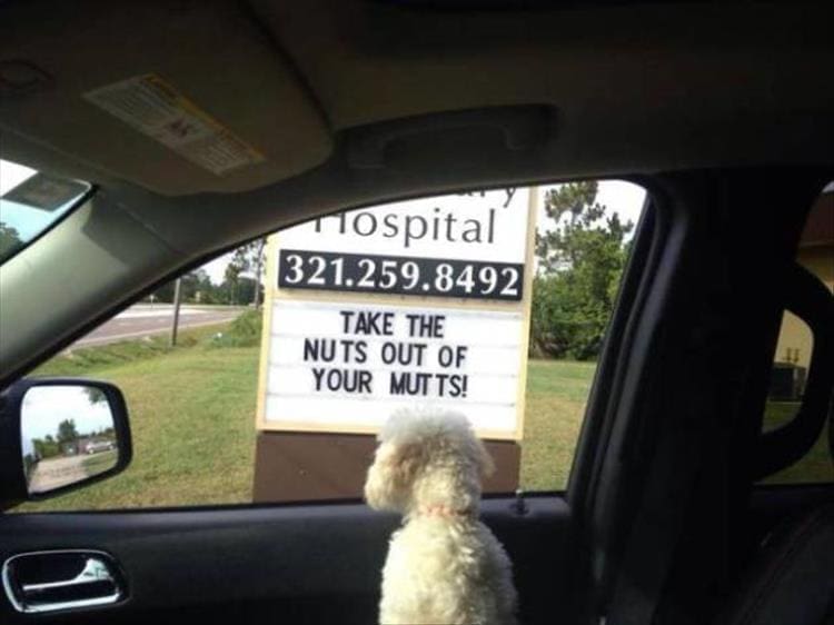 vet signs TAKE THE NUTS OUT OF YOUR MUTTS!