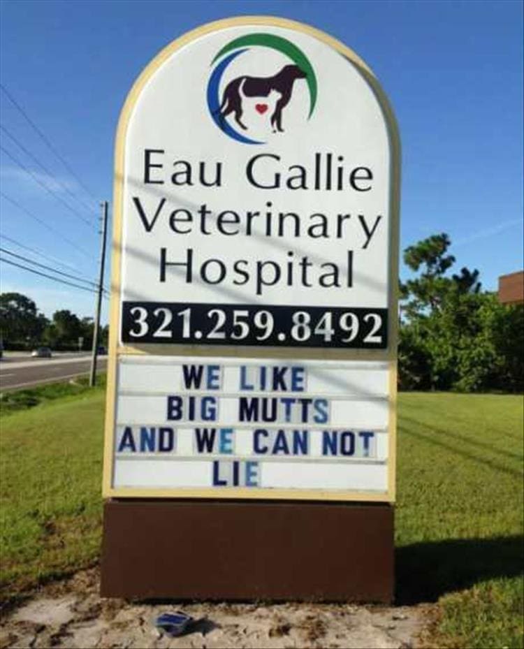 vet signs