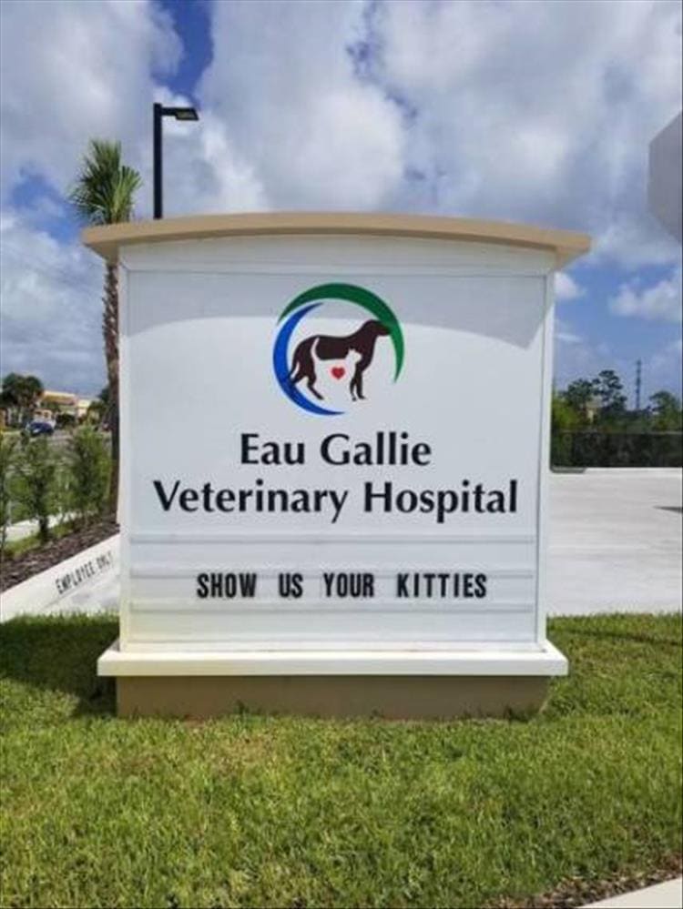 vet signs Eau Gallie Veterinary Hospital SHOW US YOUR KITTIES