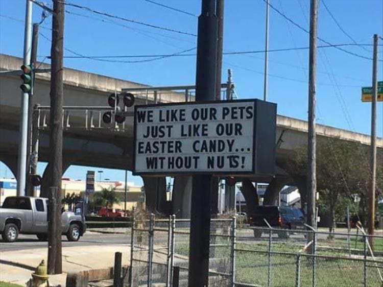 vet signs WE LIKE OUR PETS JUST LIKE OUR EASTER CANDY... WITHOUT NUTS!