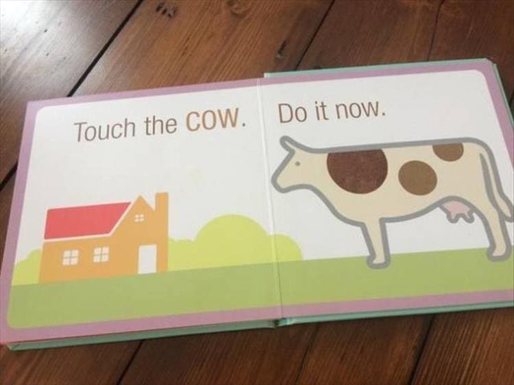 Weird kid books Touch the COW. Do it now.