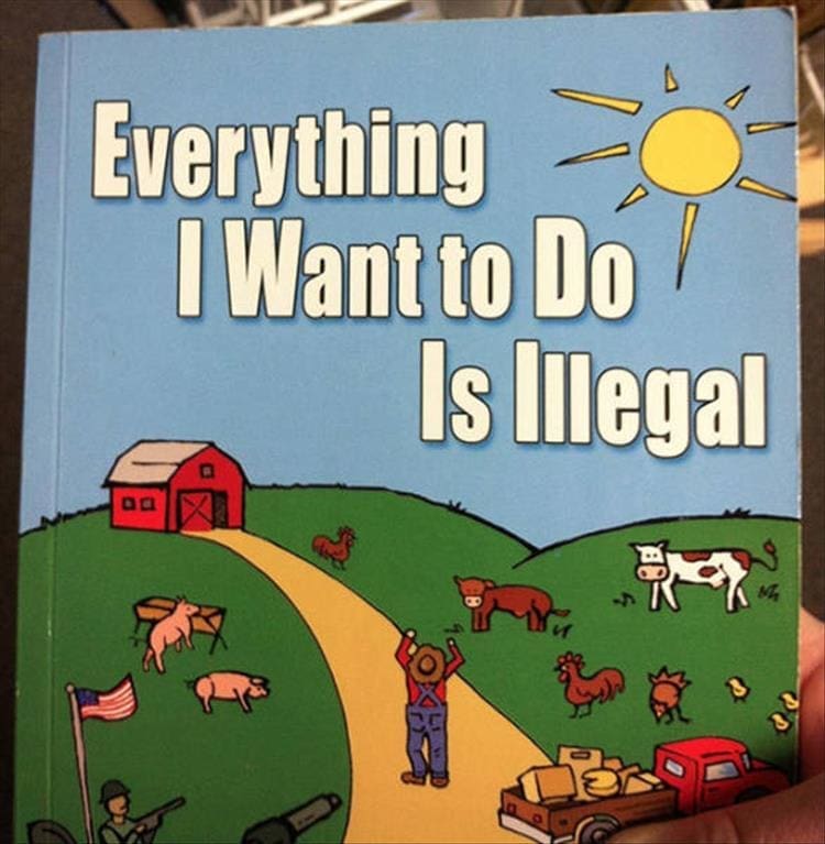 Weird kid books Everything I Want to Do Is legal