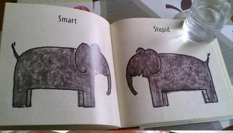Weird kid books Smart Stupid