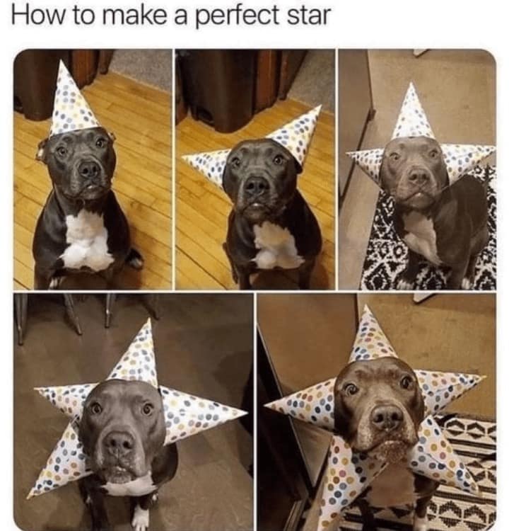 wholesome memes, heartwarming tales