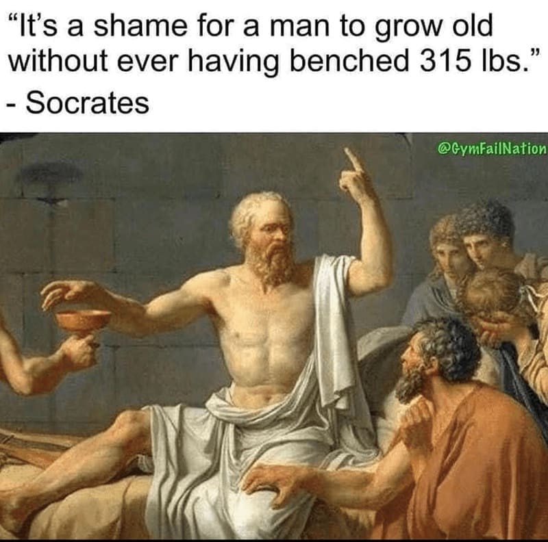 workout memes "It's a shame for a man to grow old without ever having benched 315 lbs." - Socrates