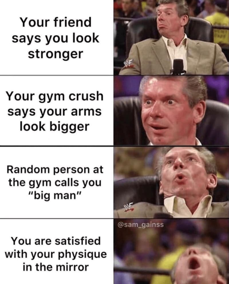 workout memes Your friend says you look stronger Your gym crush says your arms look bigger Random person at the gym calls you "big man" @sam_gainss You are satisfied with your physique in the mirror