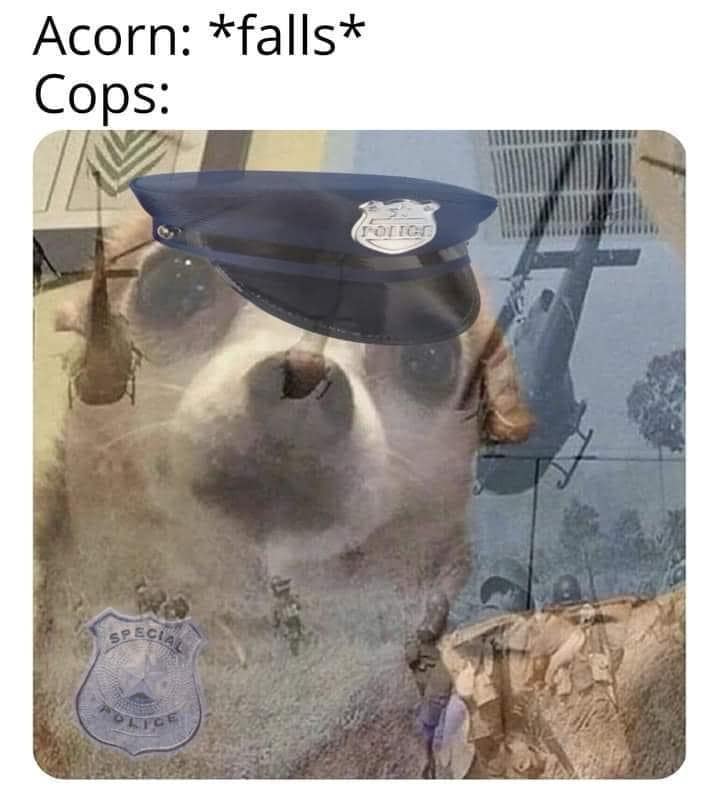 acorn cop memes, recent incident jokes, internet humor, current events memes, nutty police memes, humorous news gags, meme-worthy headlines