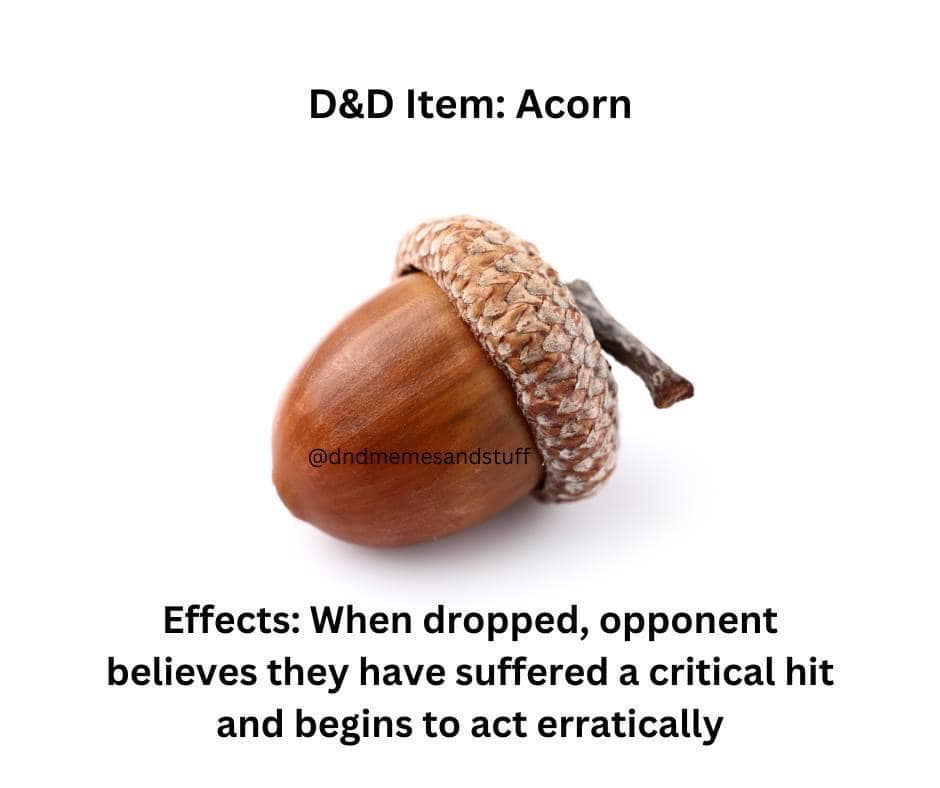 acorn cop memes, recent incident jokes, internet humor, current events memes, nutty police memes, humorous news gags, meme-worthy headlines