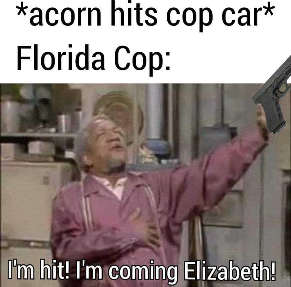 acorn cop memes, recent incident jokes, internet humor, current events memes, nutty police memes, humorous news gags, meme-worthy headlines