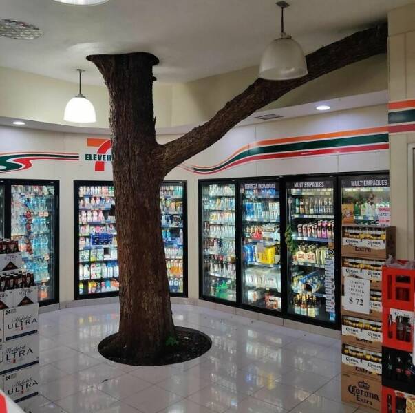 Aesthetically Pleasing Design tree in 7 eleven