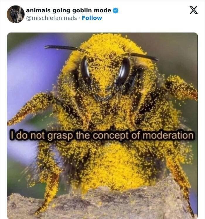 animal memes, funny animal pics, creature comedy, critter memes, wildlife humor