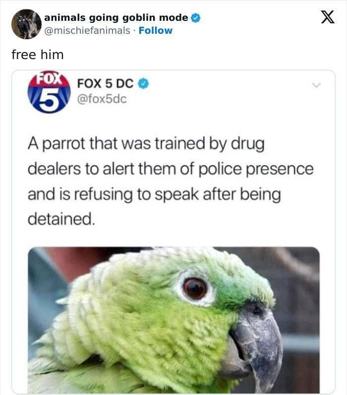 animal memes, funny animal pics, creature comedy, critter memes, wildlife humor