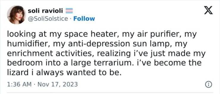 Antisocial Memes looking at my space heater, my air purifier, my humidifier, my anti-depression sun lamp, my enrichment activities, realizing i've just made my bedroom into a large terrarium. i've become the lizard i always wanted to be.