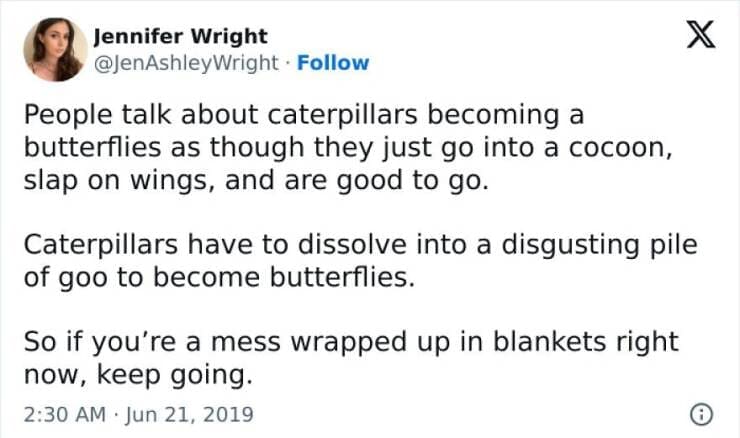 Antisocial Memes People talk about caterpillars becoming a butterflies as though they just go into a cocoon, slap on wings, and are good to go. Caterpillars have to dissolve into a disgusting pile of goo to become butterflies. So if you're a mess wrapped up in blankets right now, keep going.