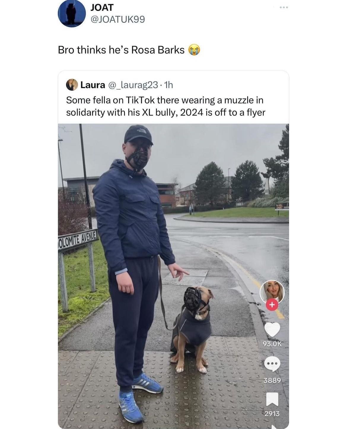 British Memes Bro thinks he's Rosa Barks