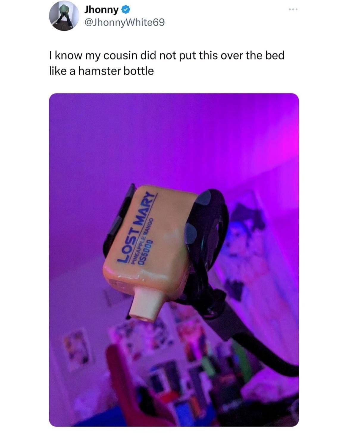 British Memes I know my cousin did not put this over the bed like a hamster bottle