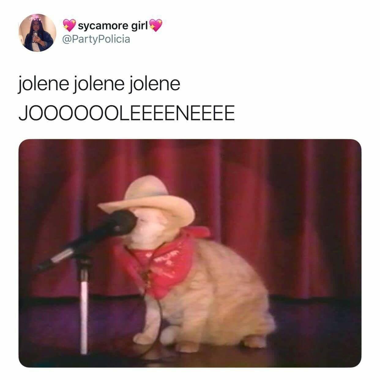 classic memes, vintage memes, old memes, best memes