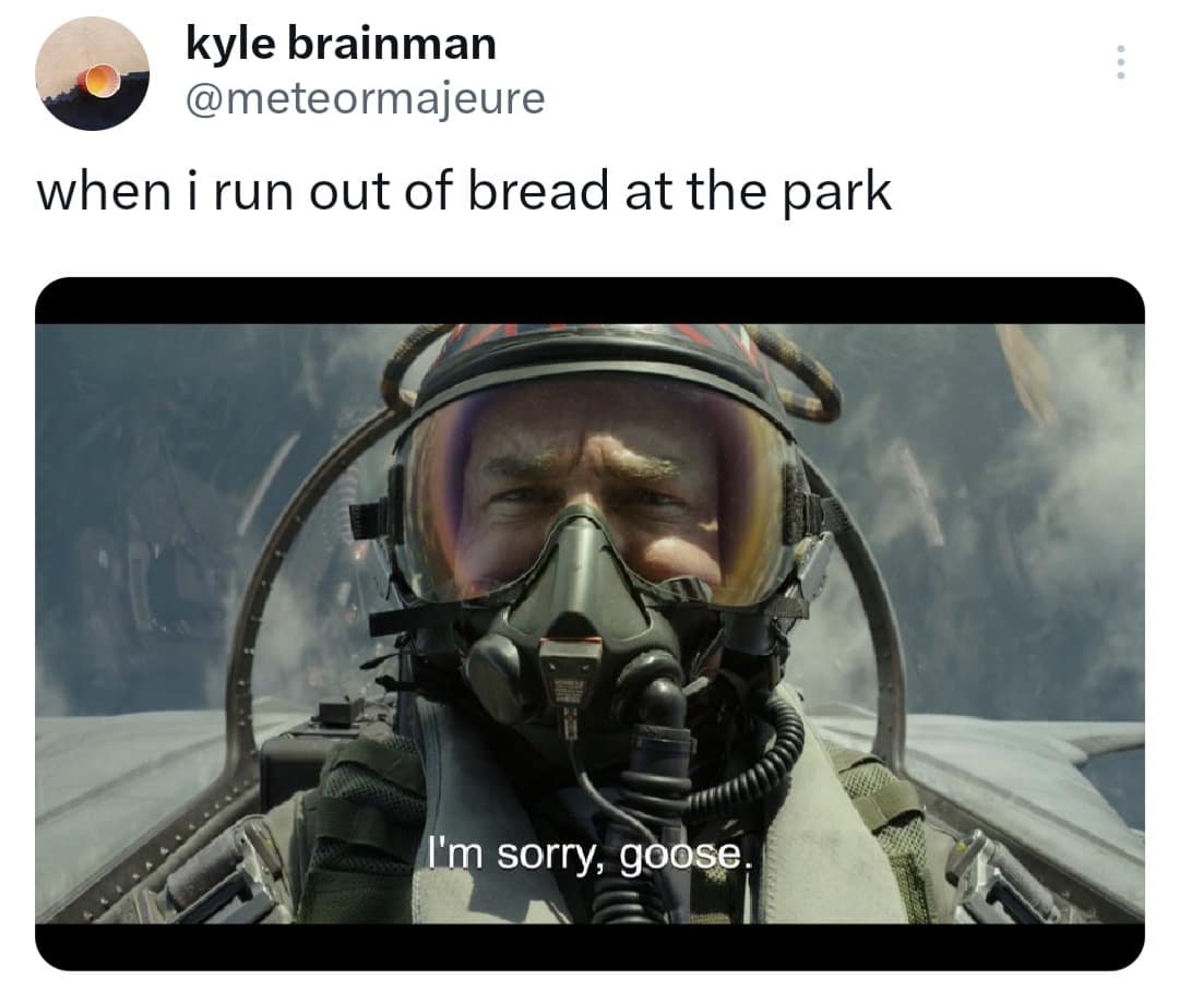 classic memes, vintage memes, best memes, old memes, viral memes, internet culture, iconic images timeless memes, legendary internet humor, iconic viral content