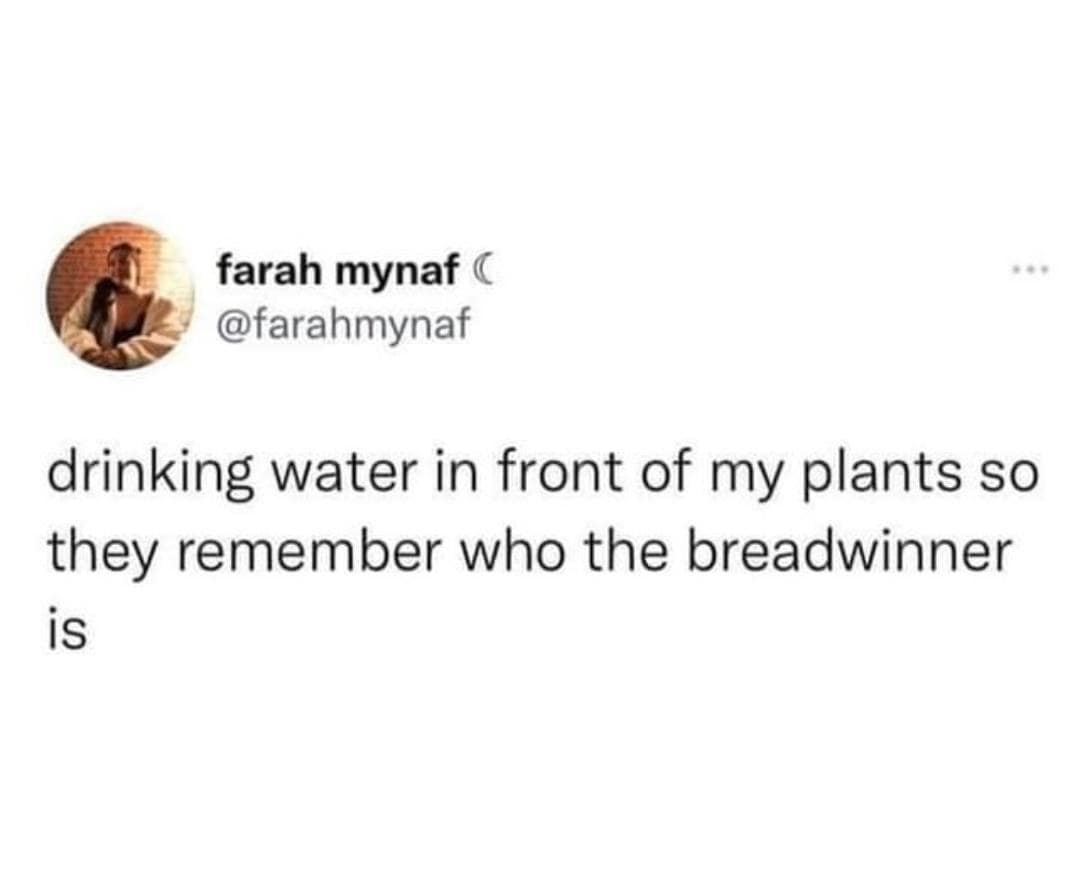 classic memes, vintage memes