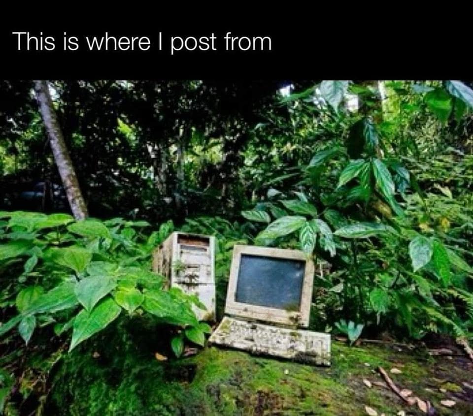 classic memes, vintage memes, best memes, old memes, viral memes, internet culture, iconic memes, timeless memes, legendary internet humor, iconic viral images