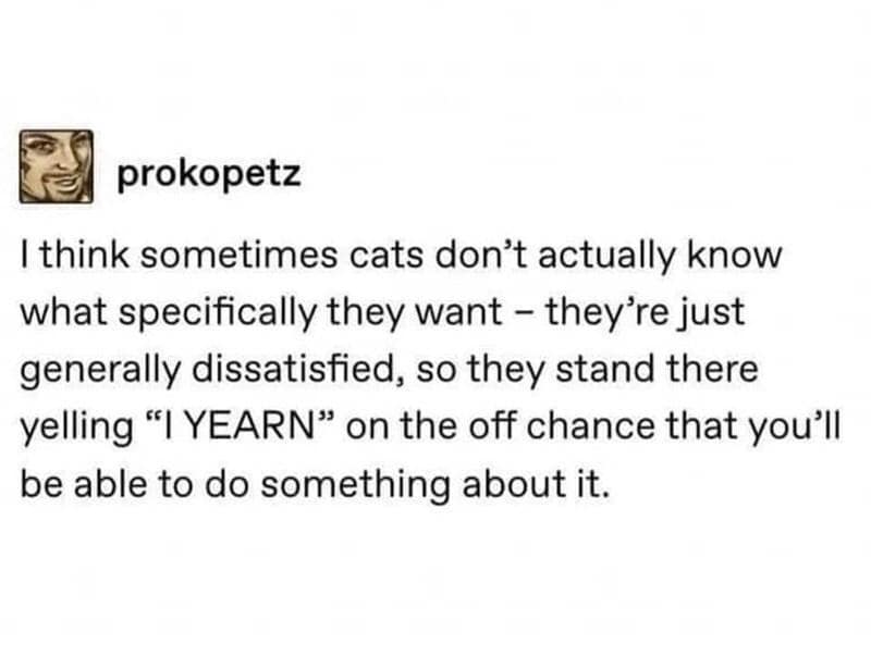 classic memes, vintage memes, old memes, best memes, vintage humor, internet nostalgia, timeless laughs, retro memes, old-school humor, throwback jokes