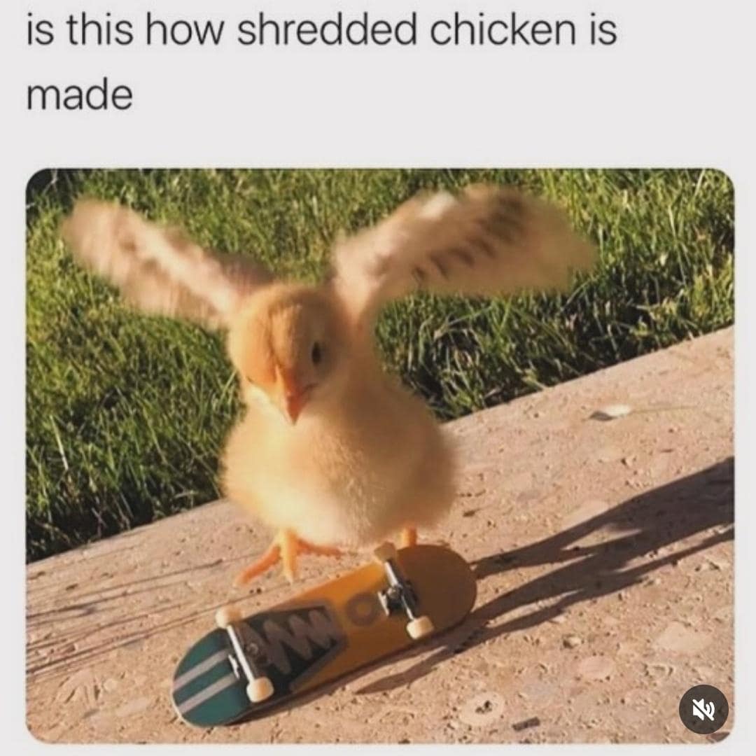 classic memes, vintage memes, old memes, best memes, timeless memes, iconic jokes, internet humor classics