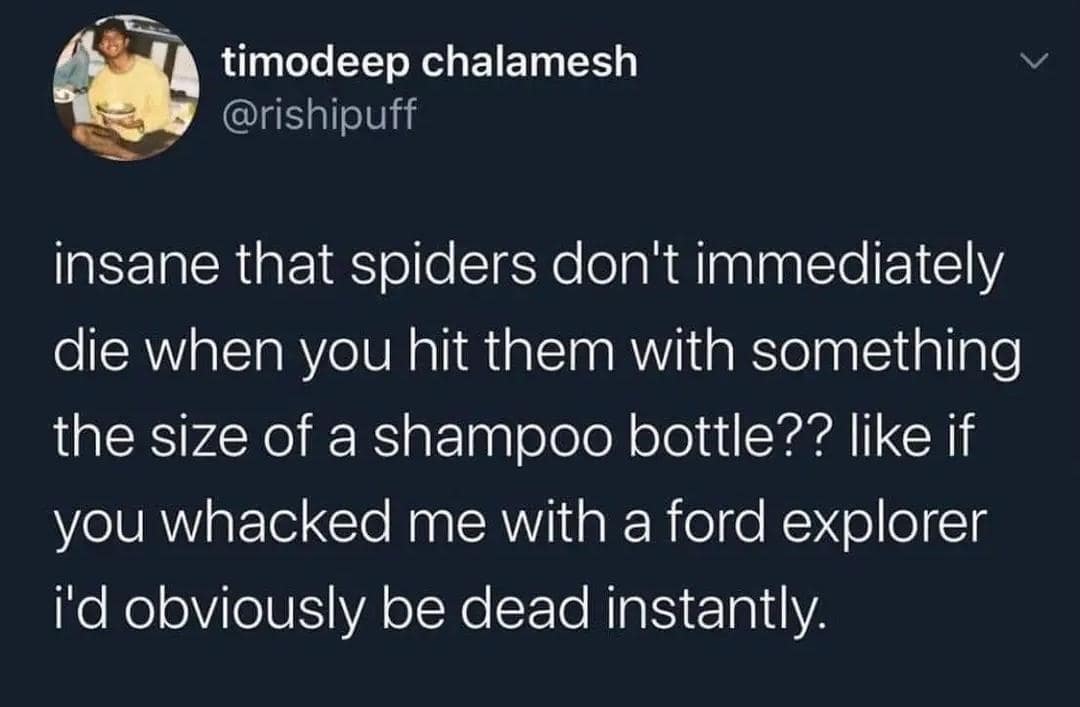 classic memes, vintage memes