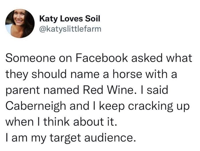 @katyslittlefarm Someone on Facebook asked what they should name a horse with a parent named Red Wine. I said Caberneigh and I keep cracking up when I think about it. I am my target audience.