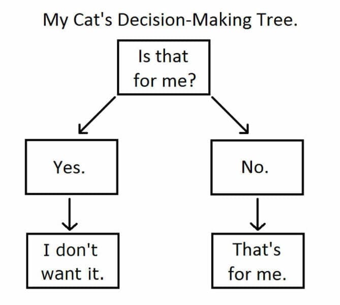 Funny Charts My Cat's Decision-Making Tree. Is that for me? Yes. No. I don't want it. That's for me.