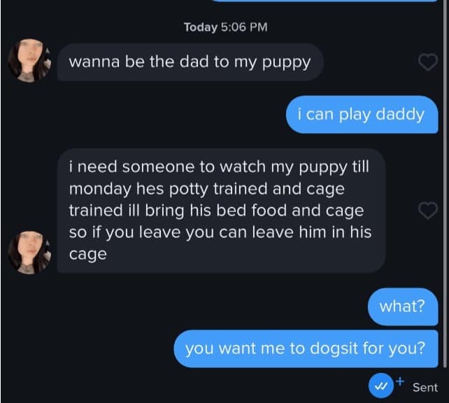 wanna be the dad to my puppy i can play daddy i need someone to watch my puppy till monday hes potty trained and cage trained ill bring his bed food and cage so if you leave you can leave him in his cage what? you want me to dogsit for you?