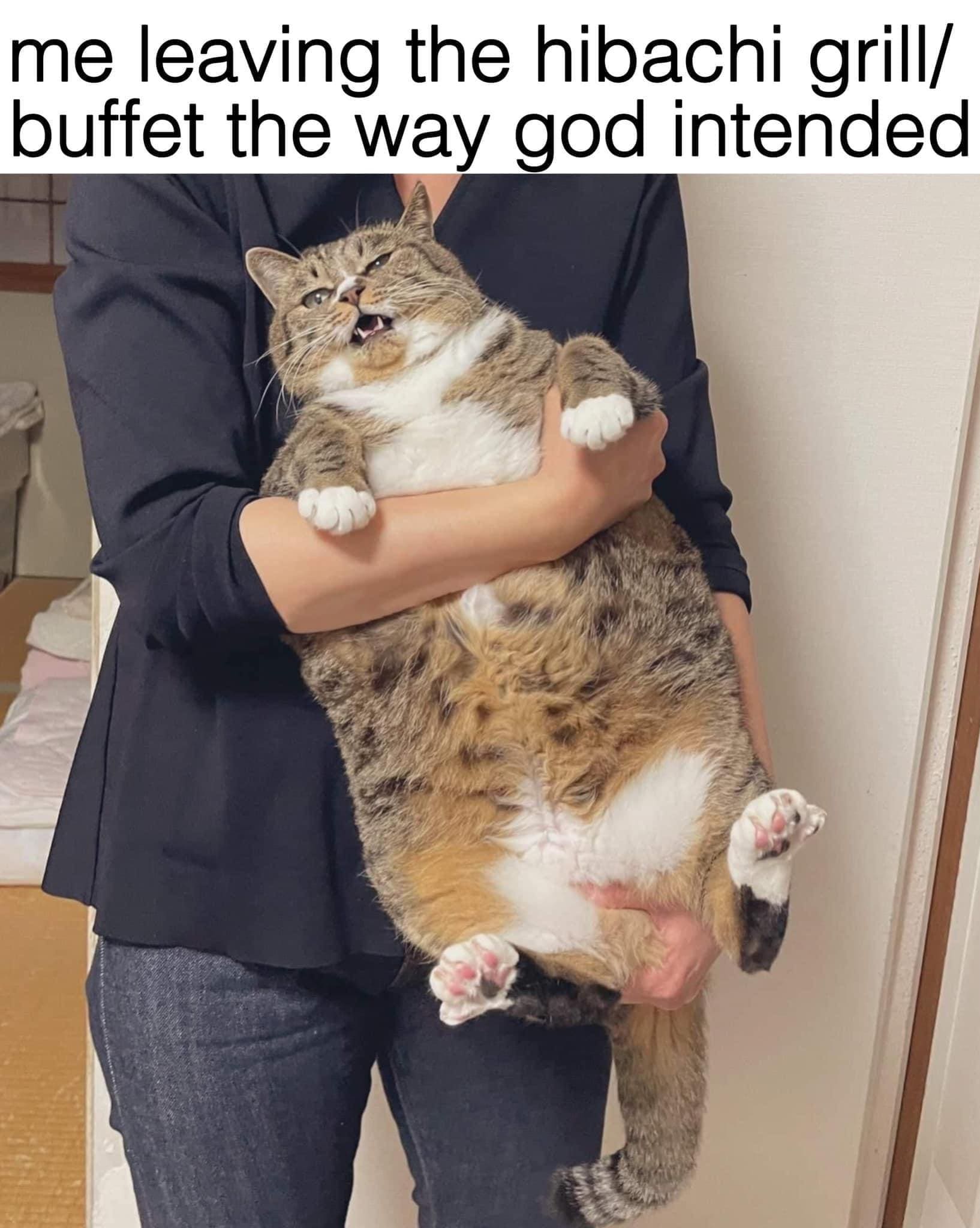 funny memes me leaving the hibachi grill/ buffet the way god intended