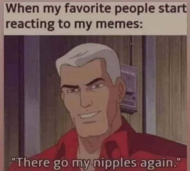 funny memes When my favorite people start reacting to my memes: "There go my nipples again."