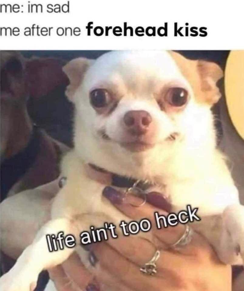 me: im sad me after one forehead kiss life ain't too heck