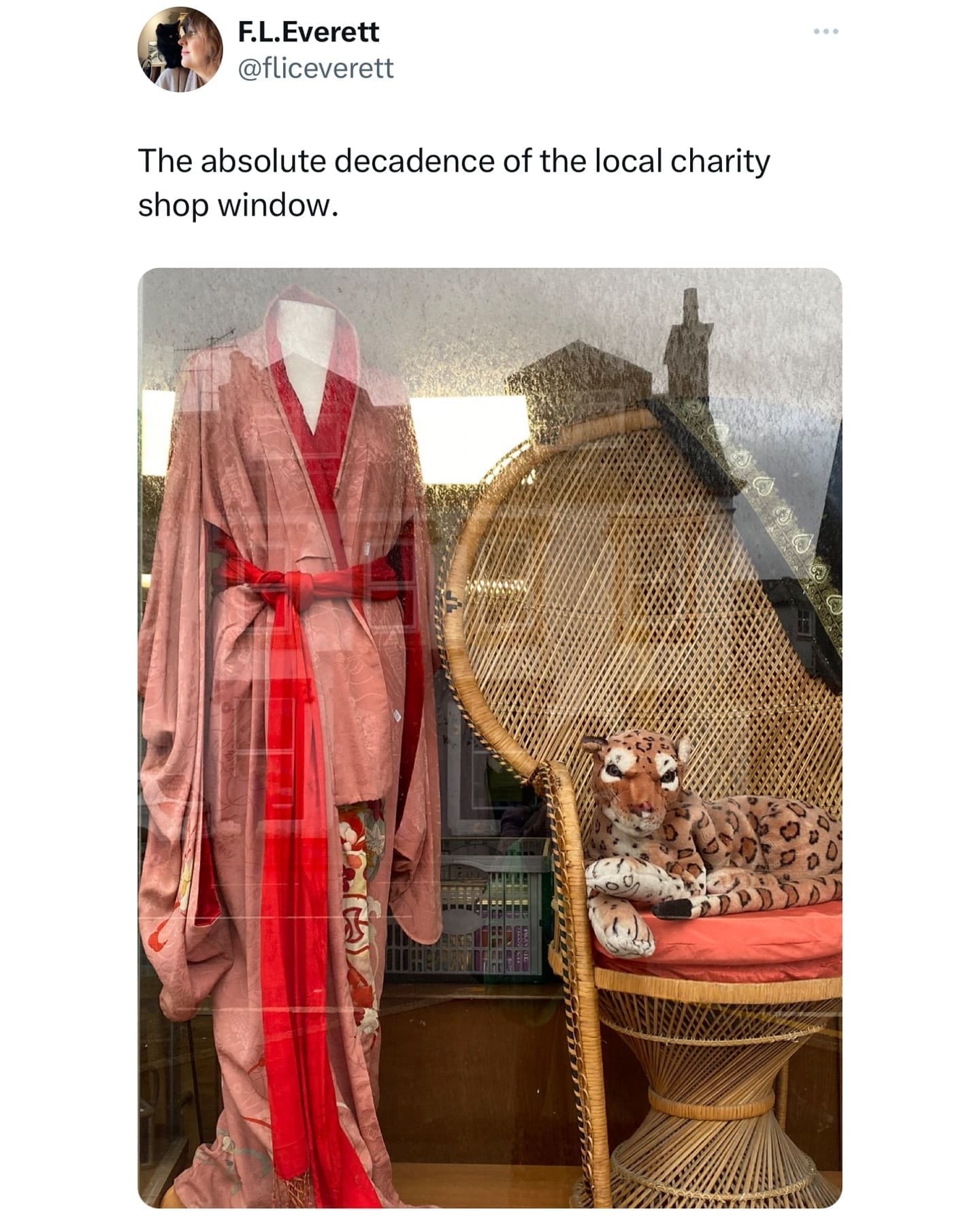 funny memes The absolute decadence of the local charity shop window.