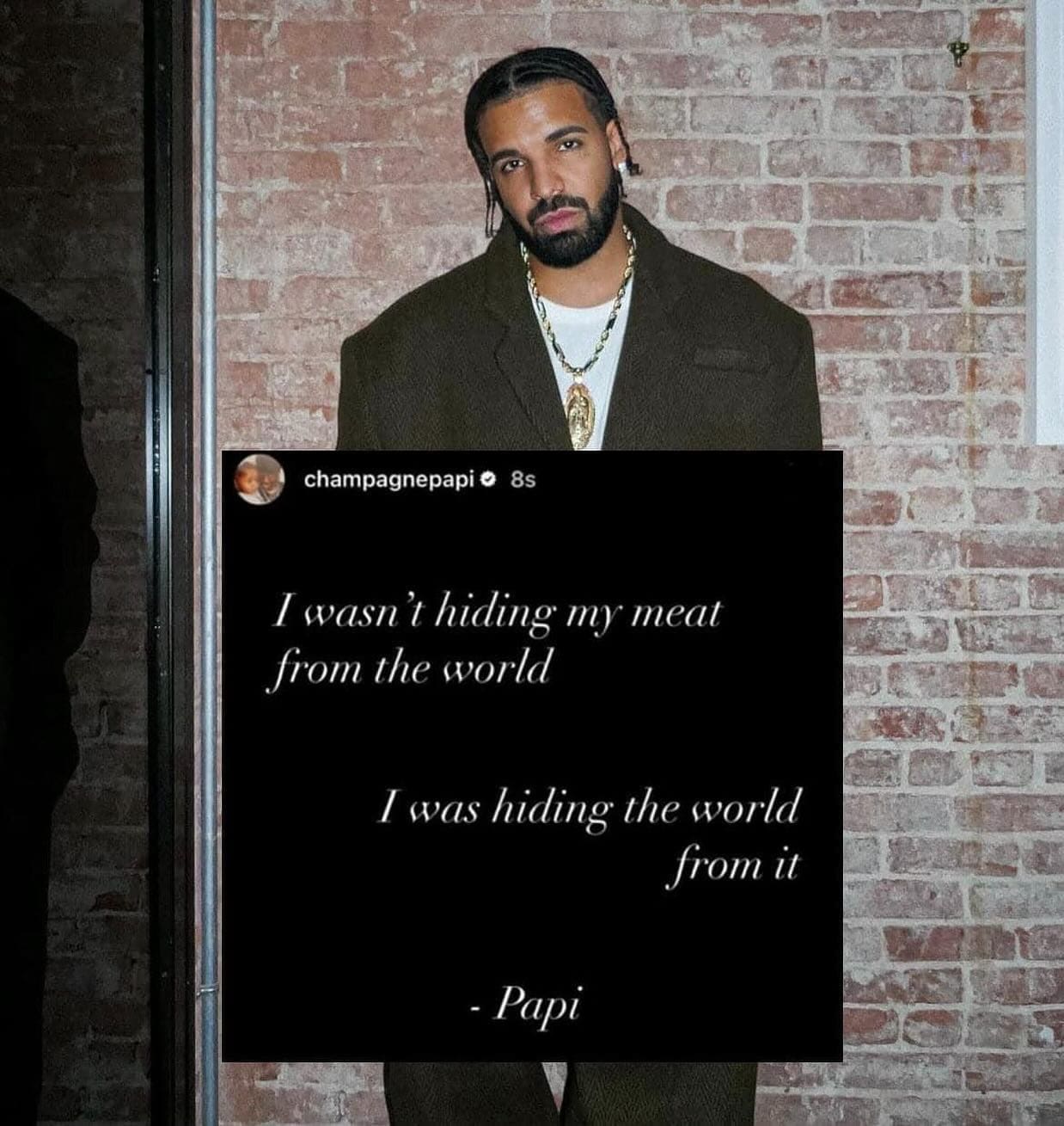 I wasn't hiding my meat from the world I was hiding the world from it - Papi drake