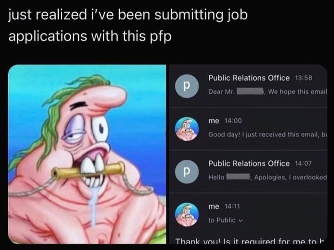 funny memes just realized i've been submitting job applications with this pfp