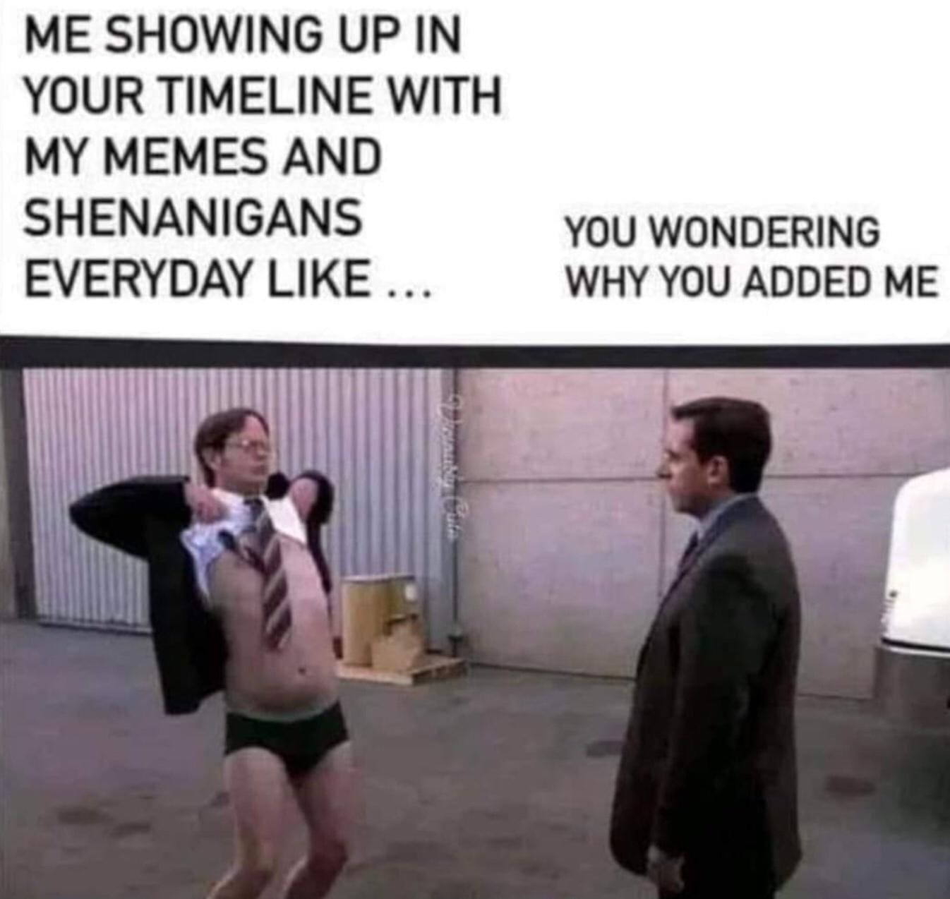 funny pics ME SHOWING UP IN YOUR TIMELINE WITH MY MEMES AND SHENANIGANS EVERYDAY LIKE ... YOU WONDERING WHY YOU ADDED ME