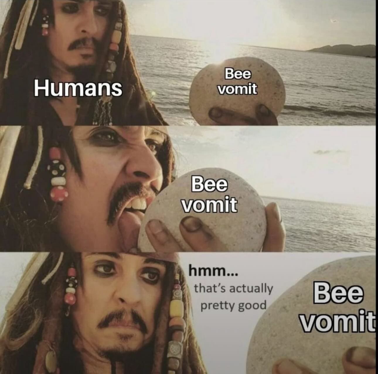 funny pics Humans Bee vomit Bee vomit hmm... that's actually pretty good Bee vomit
