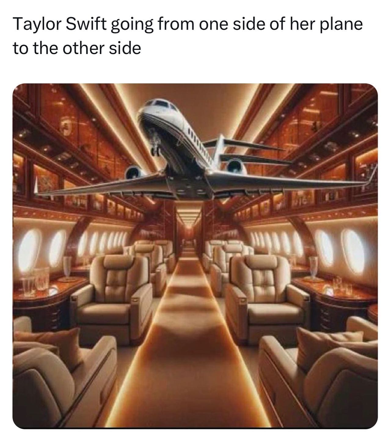 funny pics Taylor Swift going from one side of her plane to the other side