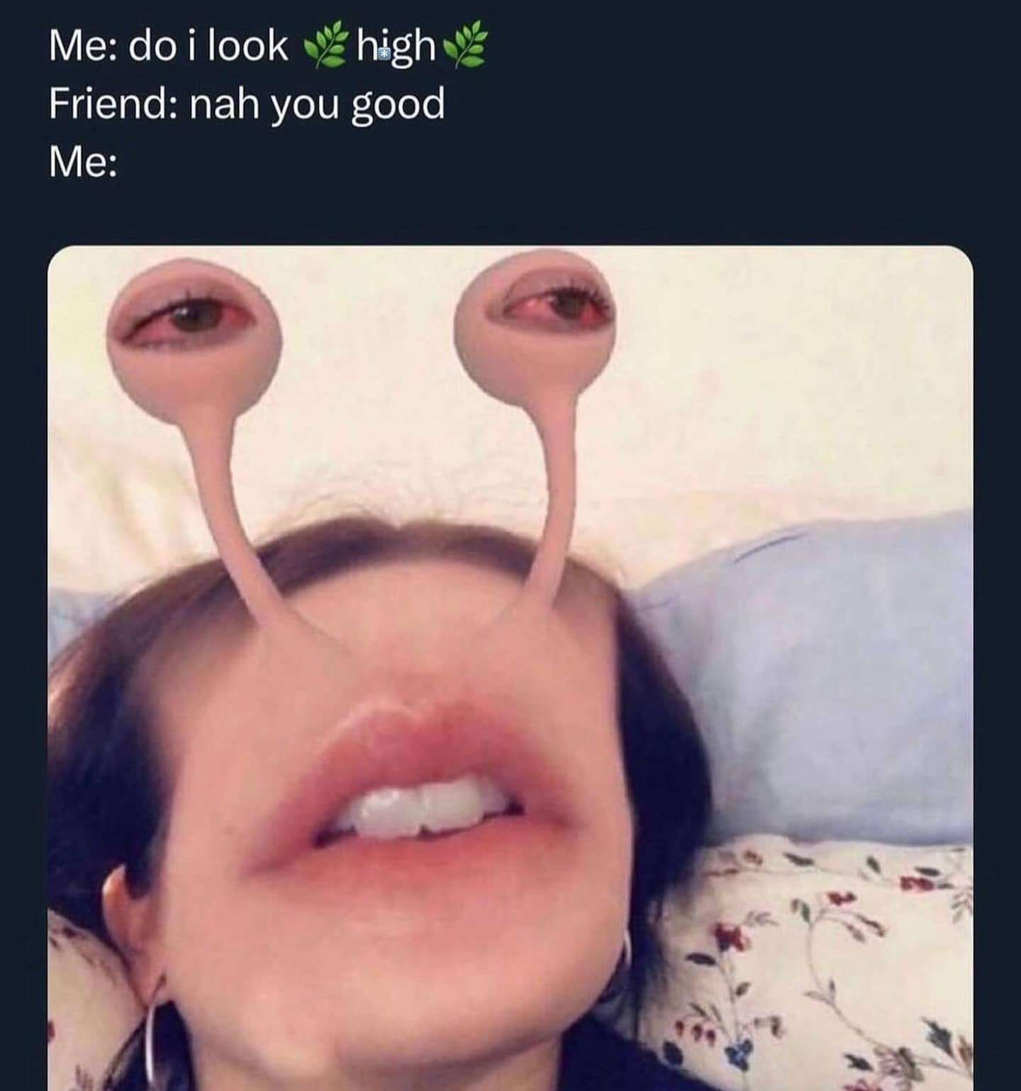 Me: do i look v high v Friend: nah you good Me: