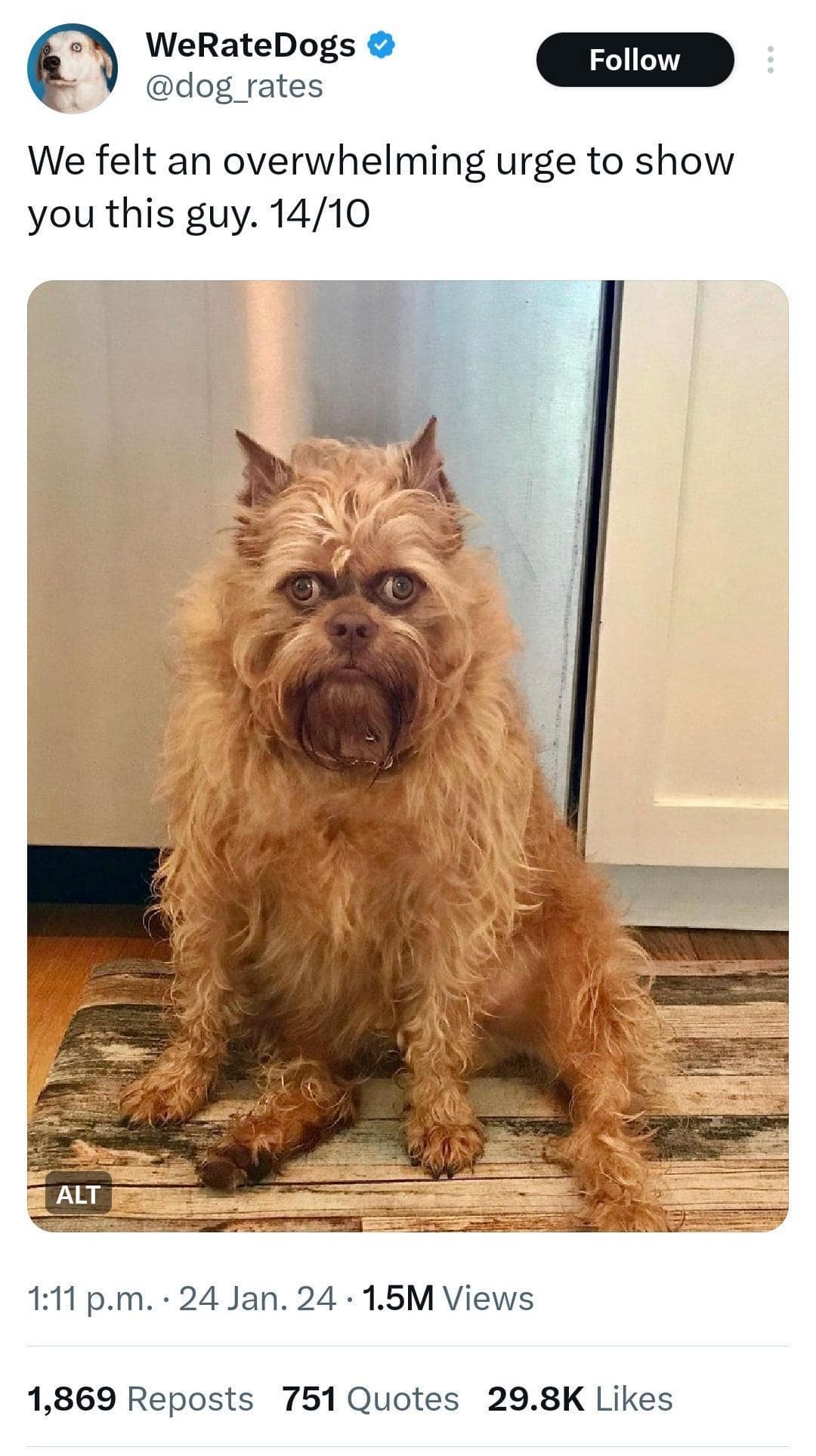 We felt an overwhelming urge to show you this guy.