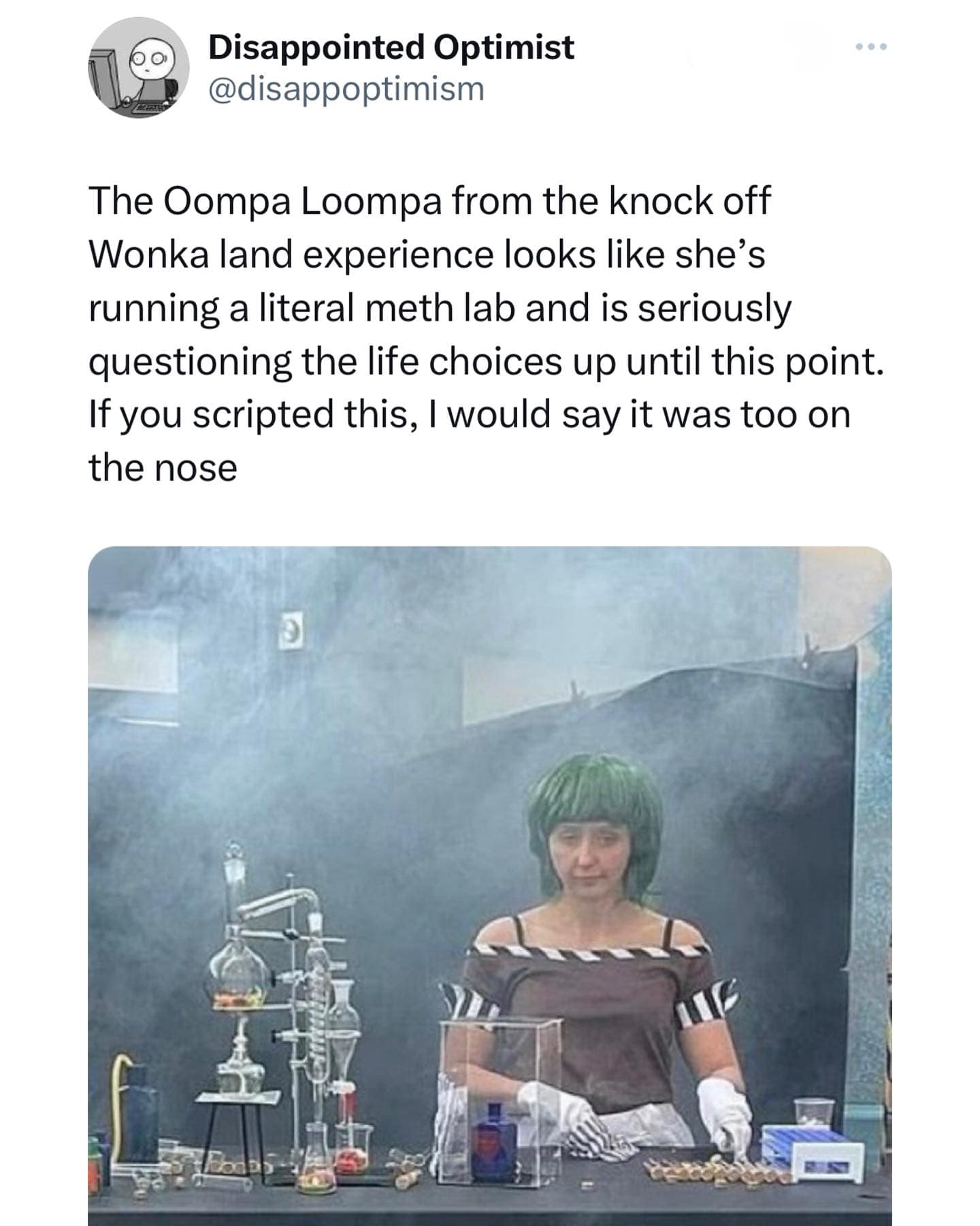 The Oompa Loompa from the knock off Wonka land experience looks like she's running a literal meth lab and is seriously questioning the life choices up until this point. If you scripted this, I would say it was too on the nose