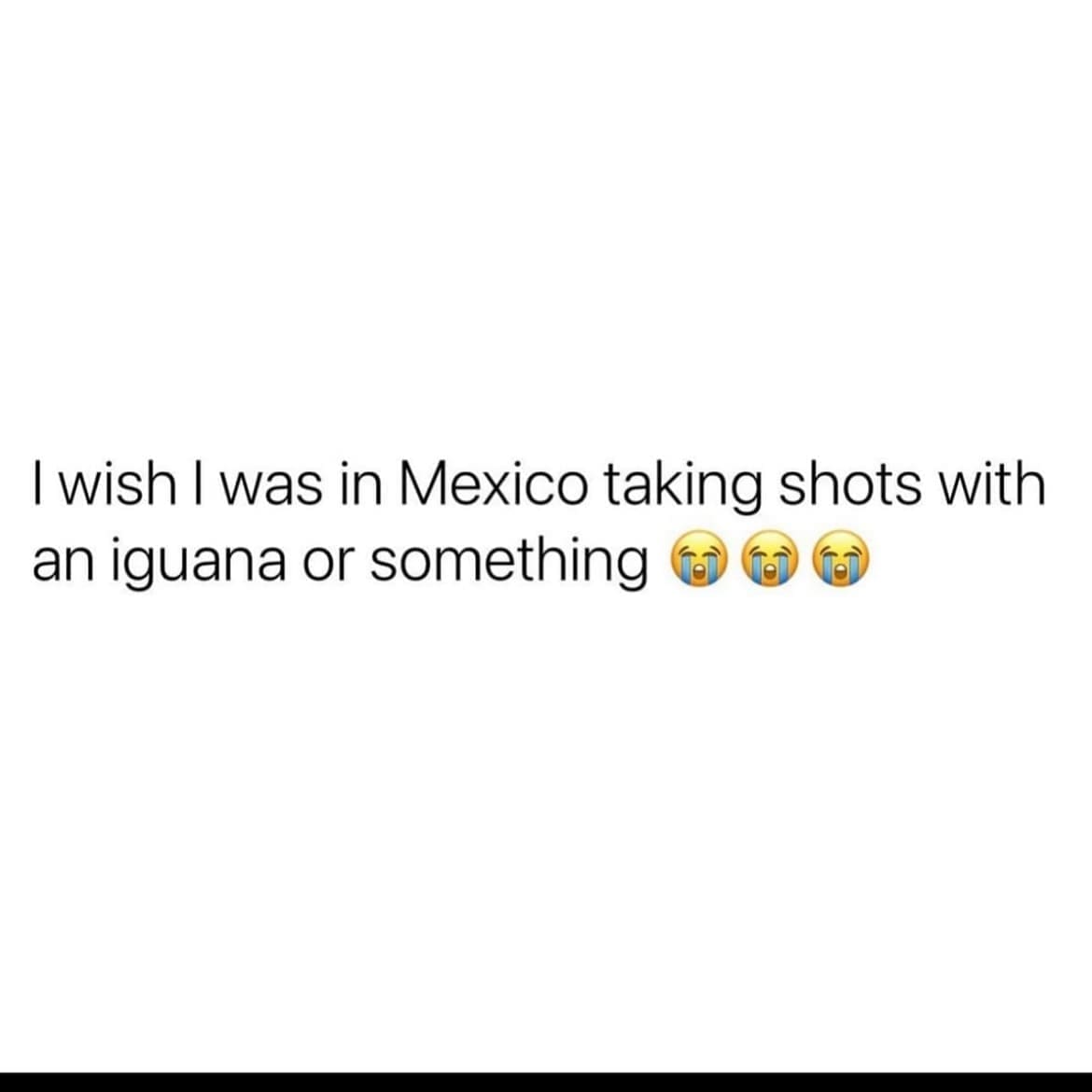 funny memes I wish I was in Mexico taking shots with an iguana or something