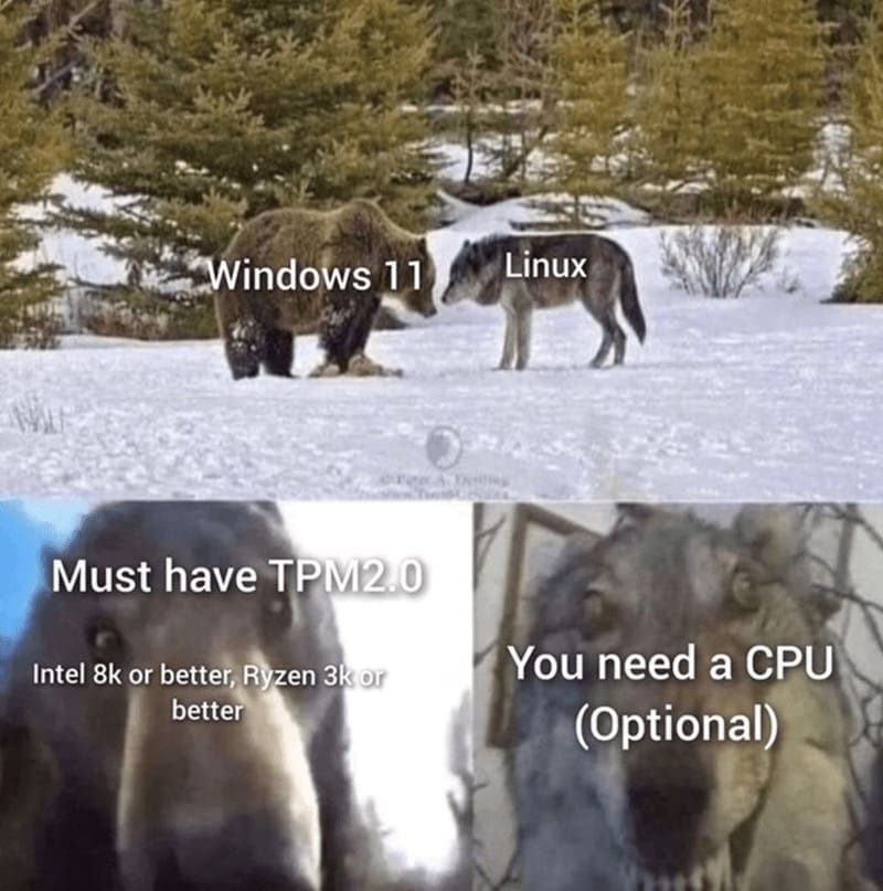 gamer memes, gaming humor, gaming memes, joystick jests, virtual chuckles, video game jokes, gamer laughs