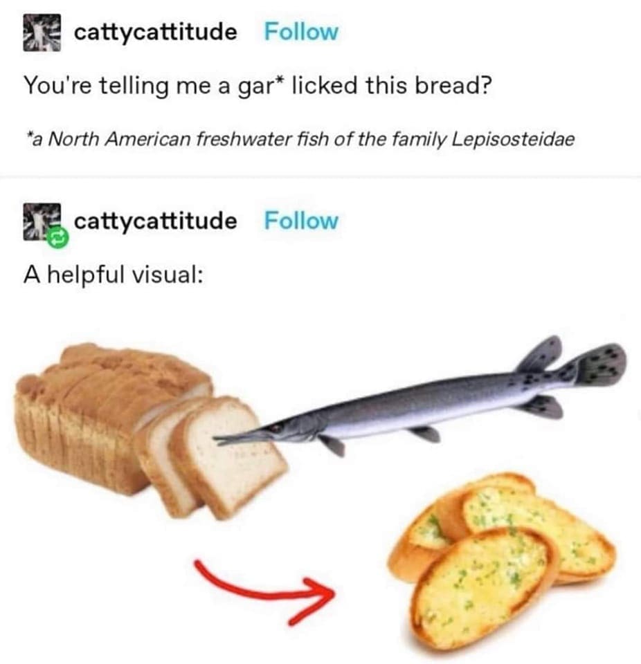 You're telling me a gar* licked this bread? *a North American freshwater fish of the family Lepisosteidae