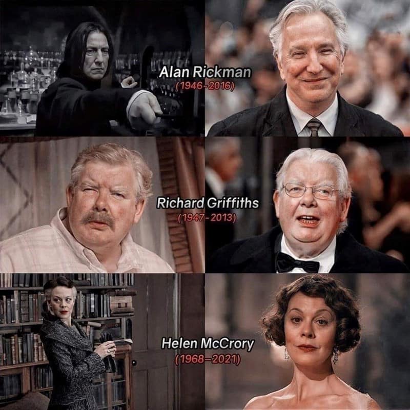 harry potter memes, hogwarts memes