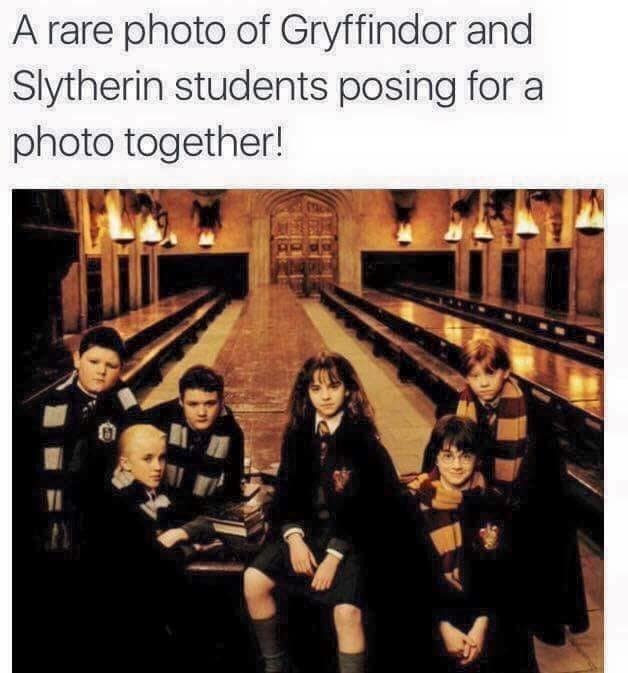 harry potter memes, hogwarts memes