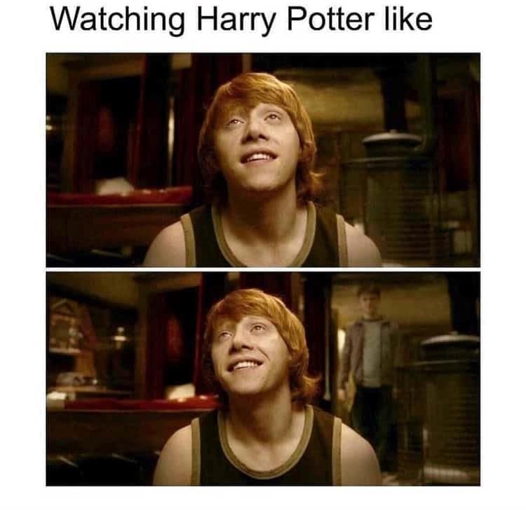 harry potter memes, hogwarts memes