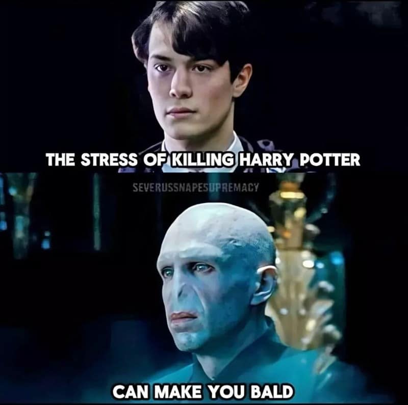 Harry Potter memes, Hogwarts humor, izarding wit, magical laughter, Potterverse memes, wizarding world jokes, sorcery satire