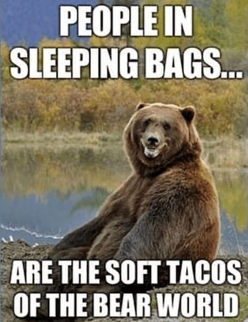 Hiking Memes PEOPLE IN SLEEPING BAGS... ARE THE SOFT TACOS OF THE BEAR WORLD